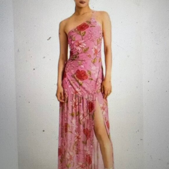 Hansen and Gretel Artillo Dress, Size XL, NWT - Picture 1 of 5